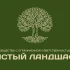 Спил деревьев. Дробление веток в щепу