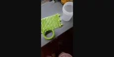 Лапомойка новая