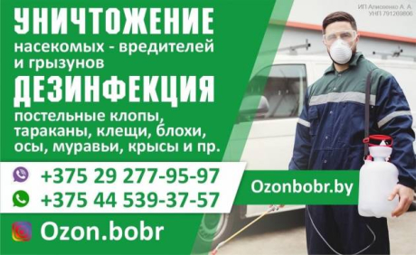 OZONBOBR. Дератизация. Дезинсекция. Дезинфекция