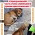 Пропала собака