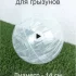 Прогулочный шар