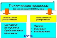 Миологопед, логопед - дефектолог, логопедический массаж