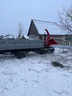 Спил деревьев. Дробление веток в щепу