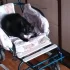 Отдам в хорошие, любящую семью двух кошечек