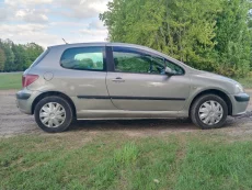 Peugeot 307 цена 2450$