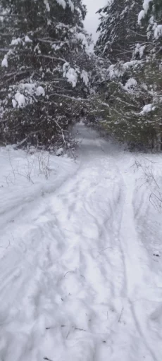 Ситроен Ксара пикассо